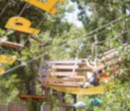 Accrobranche Enfants Arena